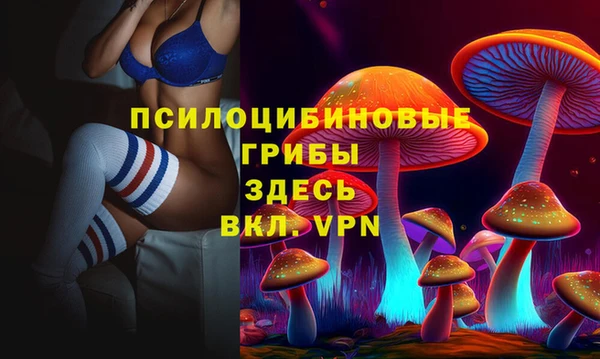 ECSTASY Балахна
