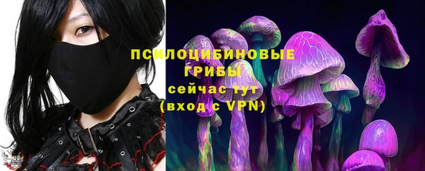 ECSTASY Балахна