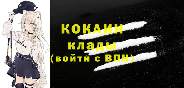 не бодяженный Новодвинск