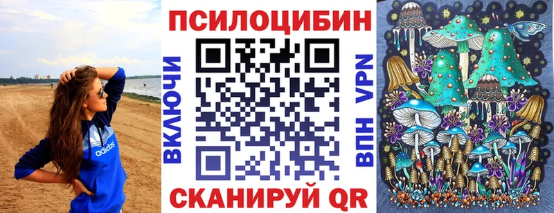 Галлюциногенные грибы Psilocybine cubensis  кракен   Бологое  где найти наркотики 